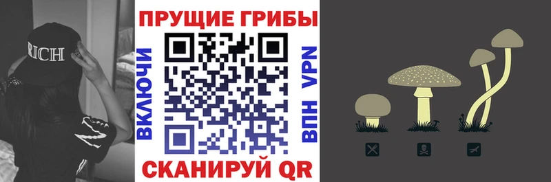 мориарти наркотические препараты  Ужур  Галлюциногенные грибы ЛСД 